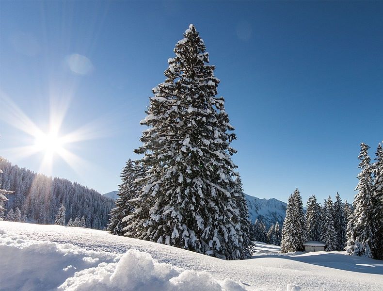 Schneeschuh Wandern